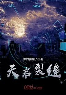 《天启裂缝》封面