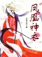 《凤凰神衣》封面