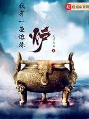 《我有一座熔炼炉》小说封面