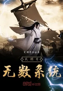 《我拥有无数系统》封面