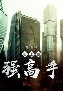 《史上最强高手》封面