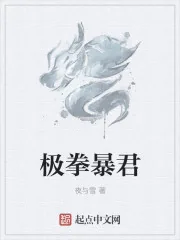 《极拳暴君》封面