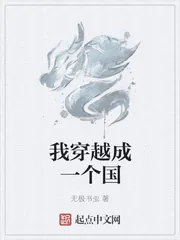 《我穿越成一个国》封面