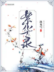 《紫华录》封面