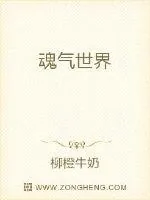 《魂气世界》封面