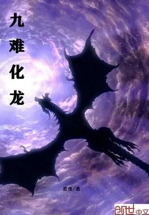 《九难化龙》封面