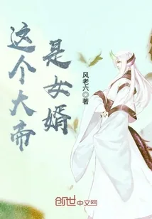 《这个大帝是女婿》封面