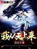 《我从天上来》封面