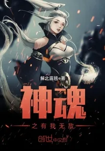 《神魂之有我无敌》封面