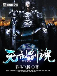 《无敌剑魂》封面