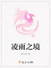 《凌雨之境》封面