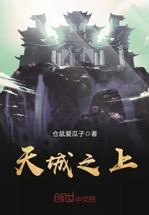 《天城之上》封面
