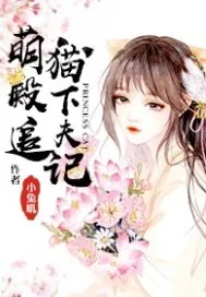 《狸猫殿下追夫记》封面