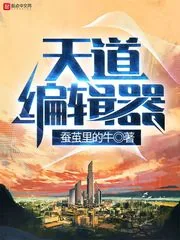 《天道编辑器》封面