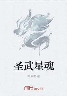 《圣武星魂》封面
