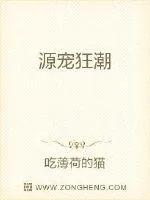 《源宠狂潮》封面
