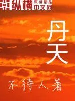 《丹天》封面