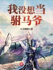 《我没想当驸马爷》封面