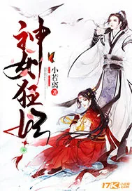 《神女狂妃》封面