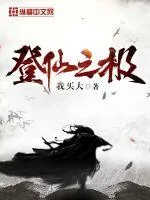 《登仙之极》封面