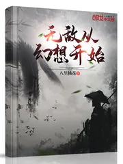 《无敌从幻想开始》封面