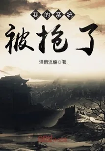 《我的系统被抢了》封面