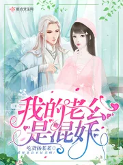 《我的老公是混妖》封面