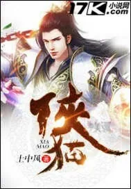 《侠猫》封面