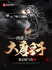 《西游之大唐皇子》封面