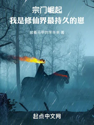 《宗门崛起：我是修仙界最持久的崽》小说封面