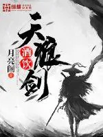 《酒饮天狼剑》封面