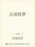 《尘埃有梦》封面