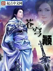 《苍穹颠》封面
