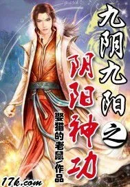 《九阴九阳之阴阳神功》小说封面