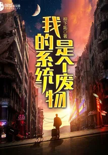 《我的系统是个废物》封面