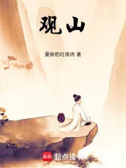 《观山！》小说封面