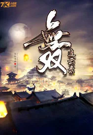 《无双追云录》封面