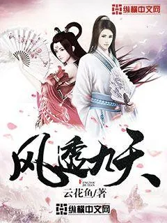 《风透九天》封面