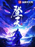 《登天》小说封面
