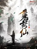 《觅封仙》小说封面