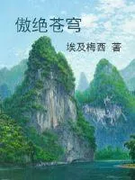 《傲绝苍穹》封面