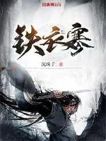 《铁衣寒》小说封面