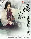 《归狐》封面