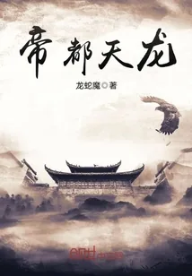 《帝都天龙》封面