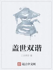 《盖世双谐》小说封面