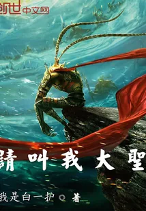 《请，叫我大圣》封面