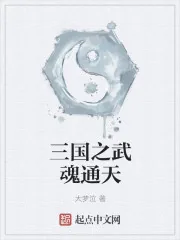 《三国之武魂通天》封面
