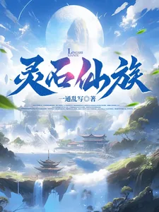 《灵石仙族》小说封面