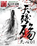 《天残殇》小说封面