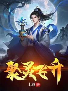 《聚灵飞升》小说封面